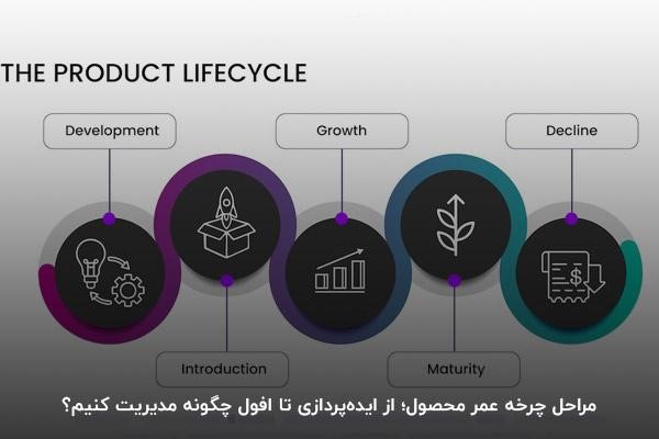 مراحل چرخه عمر محصول