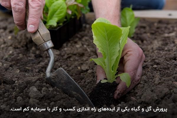 کارگاه خیاطی؛ ایده کسب و کار با سرمایه کم در خانه
