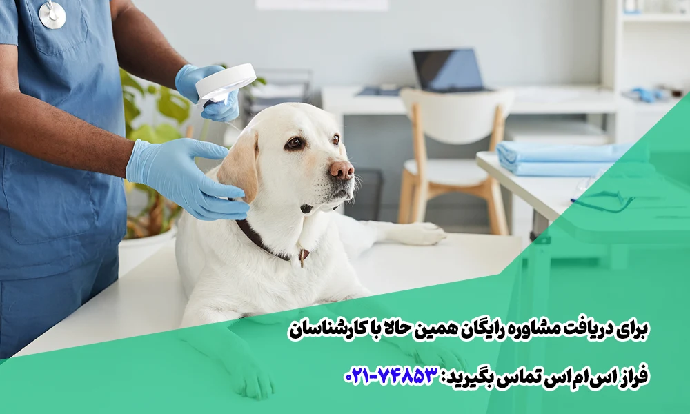 تبلیغات پیامکی کلینیک دامپزشکی