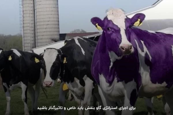 خاص و تاثیرگذار بودن در اجرای استراتژی گاو بنفش
