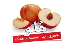 ویدیو های آموزش کار با سامانه پیامک ایران پیامک